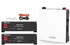 DYNESS - Bateria de lítio Baixa Tensão (48V) 4800Wh